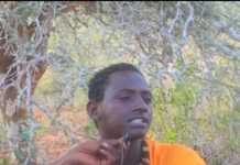 Somali Forces Capture Al-Shabaab Militant in Middle Shabelle Region