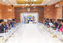 Somali Council of Ministers Convenes to Address Key National Issues