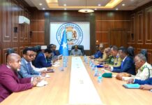 Somalia Issues a Total Ban on Non-State Actors’ Weapons Trade
