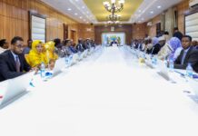 Somali Cabinet Paves Way for Electoral Reforms and Tightens Arms Control
