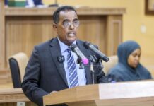 Somalia’s minister of Interior grilled by the Senate