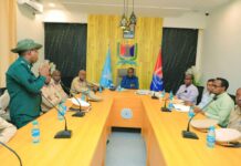 Madaale oo kulan la xisaabtan ah la yeeshay waaxyaha dakhliga Dowladda Hoose