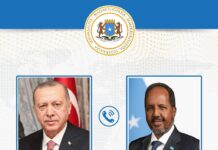 Somali and Turkish Presidents Discuss Strengthening Strategic Cooperation