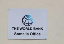 Scandal Exposed – Political Cronies Set to Replace Qualified Workers in Somalia’s World Bank-Backed Projects to Divert Funds