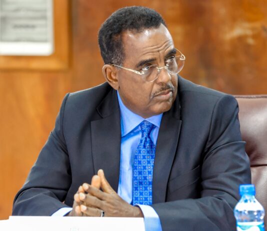Somalia urges immediate end to clan clashes in Hiraan, warns against online incitement