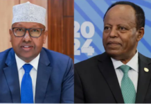Ethiopian and Somali Foreign Ministers Meet in Türkiye to Ease Diplomatic Tensions