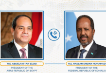 Somali and Egyptian Presidents Discuss Mutual Cooperation and Regional Stability