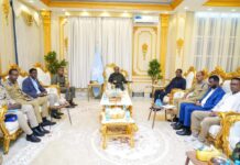 Somali President Convenes Emergency Session Following Deadly Hotel Attack