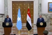 President Sisi hails deeply-rooted, robust ties with Somalia