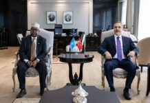 Somalia and Ethiopia Set for Second Round of Talks in Turkey