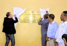 Sawirro: Madaale oo xarigga ka jaray kawaanka Hilibka ee Suuq Boocle
