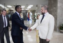 Somalia, Serbia discuss on bolstering cooperation