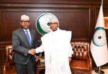 Somali FM Engages in Collaborative Talks with OIC Secretary-General