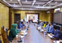 Somalia’s Parliament Sets the Stage for EAC Representation