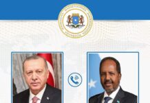 Somali, and Turkish Leaders Discuss Bilateral Ties, Regional Stability