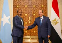 Ambassador Ali Abdi Aware Welcomes Defense Deal Between Somalia and Egypt
