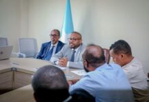 Diplomatic Overhaul Begins: Ministry of Foreign Affairs Initiates Reform with New Committees
