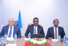 Somalia Advances Digital Identity with High-Level Consultation Meeting