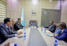 Somalia’s Diplomatic Surge: New Ambassadors and Consuls General Set to Elevate International Relations