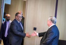 Puntland President Deni Meets U.S. Ambassador in Nairobi