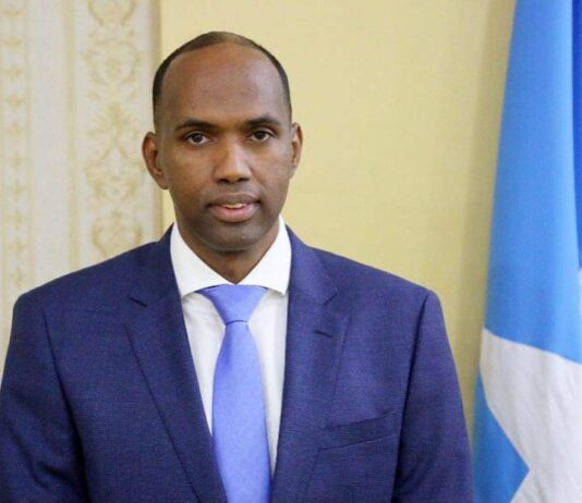 Ex-Somali PM Demands Apology from President for Remarks on Unemployed Youth Alarm