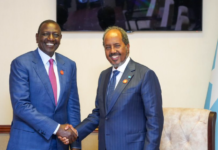 Somalia and Kenya Discuss Regional Challenges and Cooperation in Kigali Meeting
