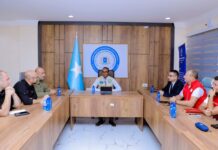 Guddoomiyaha SoDMA oo soo dhaweeyay 5 hay’adood oo Turki ah