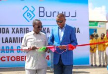 R/W Xamza oo xarigga ka jaray waddo laami ah oo laga hirgeliyay Garasbaaley