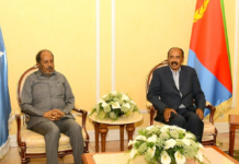 Eritrea and Somalia Leaders Discuss Deepening Bilateral Ties and Regional Stability