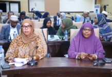 Senatorada Golaha Aqalka Sare oo galay fasax laba bilood ah