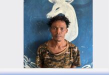 Somali Police Arrest 23 Suspects in Crackdown on Crime in Mogadishu