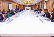 Somalia Cabinet Endorses Penal Code Overhaul, New Legal Institute