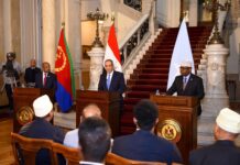 Egypt, Eritrea, Somalia meet to discuss regional security
