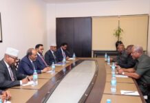 Somalia, Ghana Leaders Forge Stronger Ties at Africa Energy Summit
