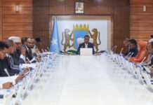 Somalia’s Cabinet Approves Social Media Regulation, Cybersecurity Pacts