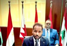 Somalia’s Deputy Planning Minister Joins Key Arab Planning Institute Meeting in Kuwait