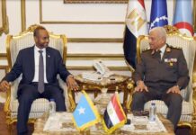 Somalia, Egypt discuss bolstering military ties in Cairo
