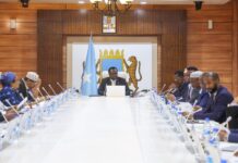 Somalia’s cabinet endorses deals deal Azerbaijan on Education, Training, and Energy