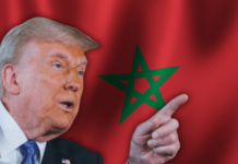 Trump displacement plan eyes Morocco, Puntland, Somaliland: Reports