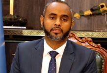 Defense Minister: Over 150 Al-Shabaab militants killed in airstrikes in southern Somalia