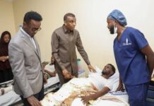 Somali PM Visits Wounded Soldiers and Local Defenders Following Al-Shabaab Clashes