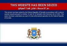 Somali Government Shuts Down Al-Shabaab-Pro Websites