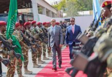 Deputy Prime Minister of Somalia Bids Farewell to African Union Chairperson