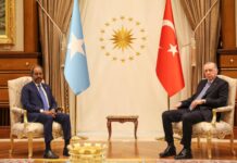 Somali President Hassan Sheikh Meets with Turkish President Erdoğan in Ankara