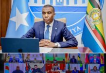 Somali Prime Minister Attends Joint Summit on Eastern and Southern Africa Security Issues