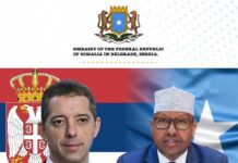 Somalia, Serbia Discuss Bilateral Relations
