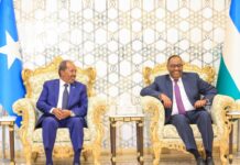 Somali MP Urges Unity in Fight Against Al-Shabaab, ISIS