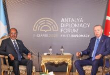 Somali President Holds High-Level Talks with Turkish Counterpart in Antalya Diplomacy Forum