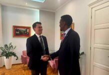 Somalia, Serbia Dicuss Bilateral Cooperation