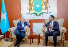 Russian Deputy Foreign Minister Visits Somalia To Strengthen Diplomatic Ties